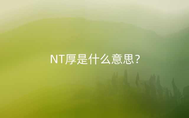 NT厚是什么意思？