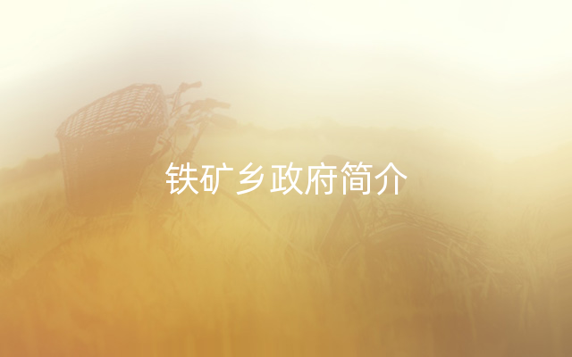 铁矿乡政府简介
