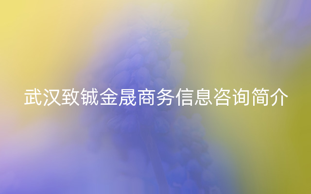 武汉致铖金晟商务信息咨询简介