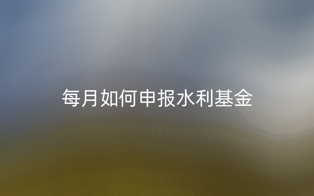 每月如何申报水利基金