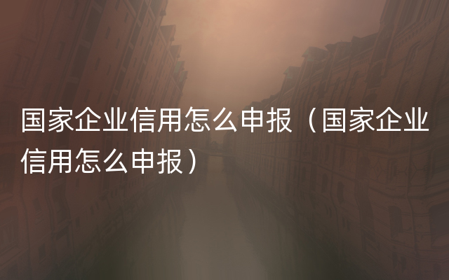 国家企业信用怎么申报（国家企业信用怎么申报）