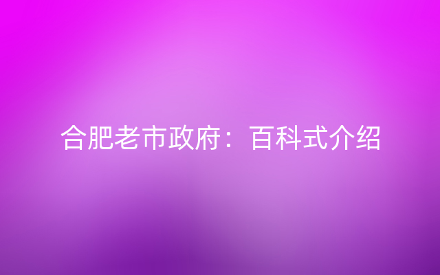 合肥老市政府：百科式介绍
