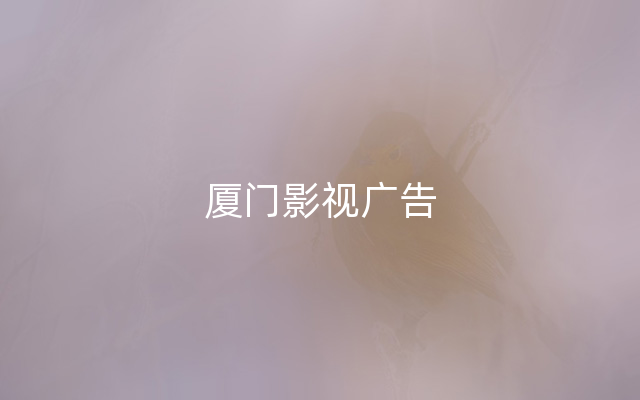 厦门影视广告