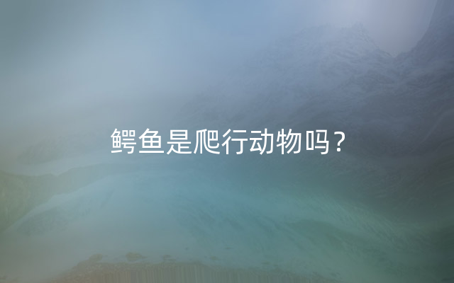 鳄鱼是爬行动物吗？