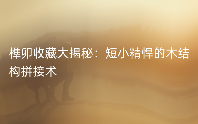 榫卯收藏大揭秘：短小精悍的木结构拼接术