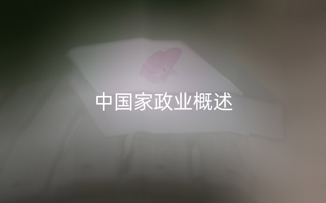 中国家政业概述