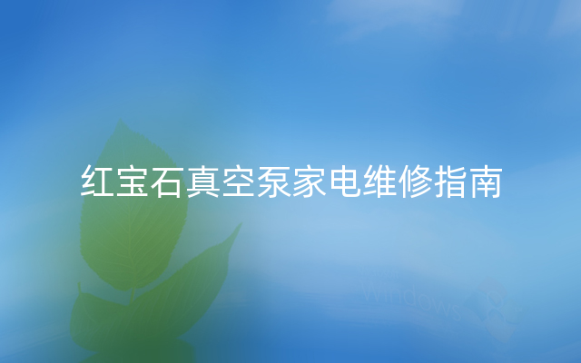 红宝石真空泵家电维修指南