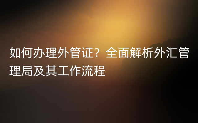如何办理外管证？全面解析外汇管理局及其工作流程