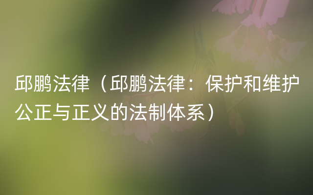 邱鹏法律（邱鹏法律：保护和维护公正与正义的法制体系）