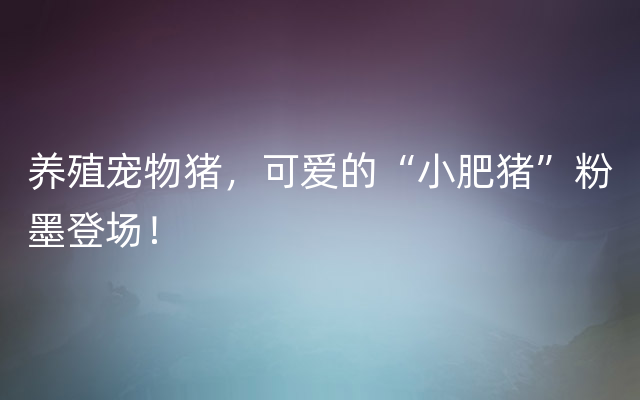 养殖宠物猪，可爱的“小肥猪”粉墨登场！