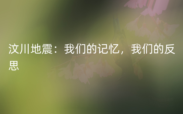 汶川地震：我们的记忆，我们的反思