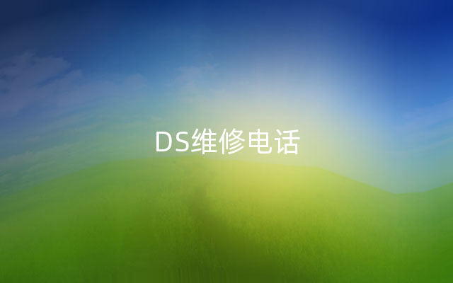 DS维修电话