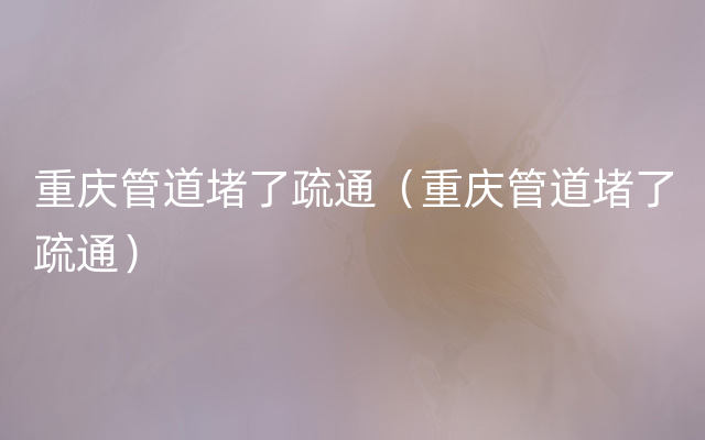 重庆管道堵了疏通（重庆管道堵了疏通）