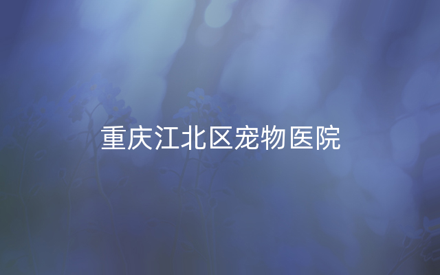 重庆江北区宠物医院