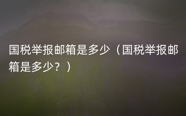 国税举报邮箱是多少（国税举报邮箱是多少？）
