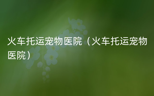 火车托运宠物医院（火车托运宠物医院）