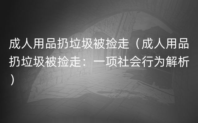 成人用品扔垃圾被捡走（成人用品扔垃圾被捡走：一项社会行为解析）