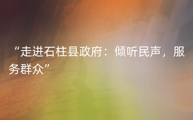 “走进石柱县政府：倾听民声，服务群众”