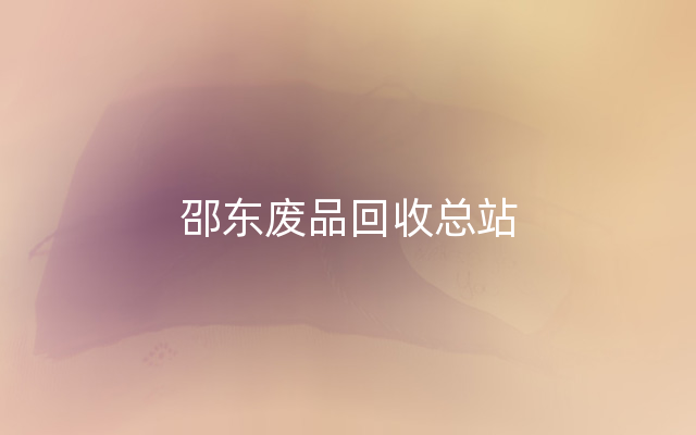 邵东废品回收总站