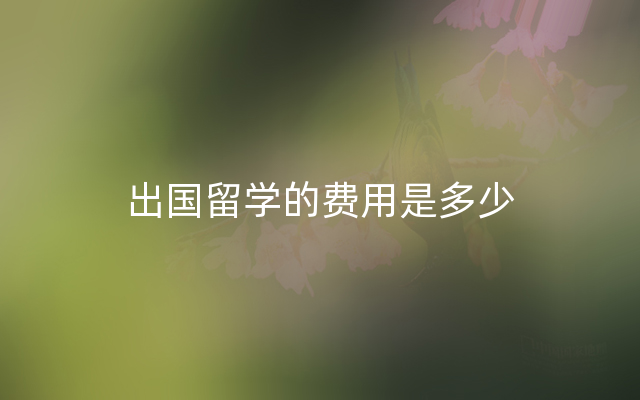 出国留学的费用是多少