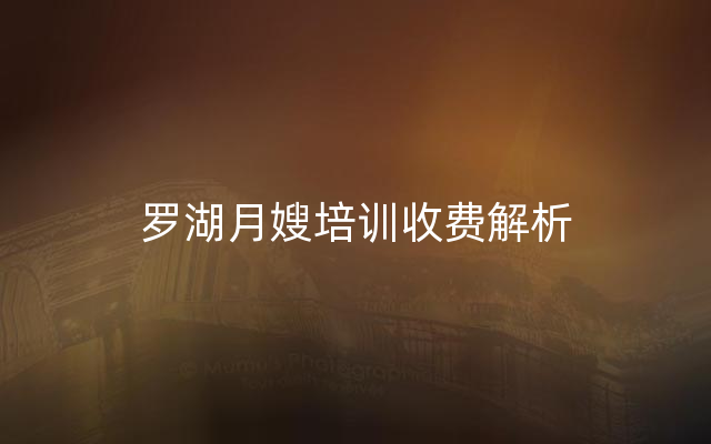 罗湖月嫂培训收费解析