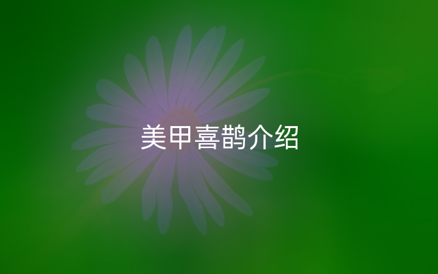美甲喜鹊介绍