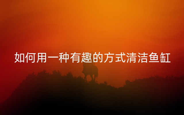 如何用一种有趣的方式清洁鱼缸