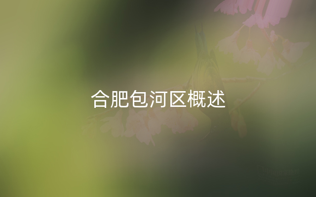 合肥包河区概述