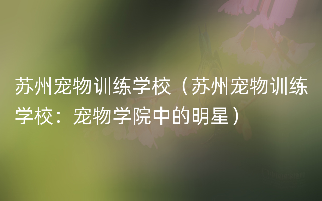 苏州宠物训练学校（苏州宠物训练学校：宠物学院中的明星）