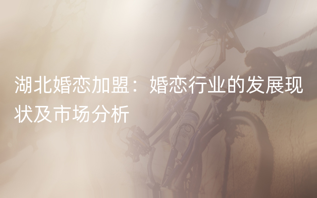 湖北婚恋加盟：婚恋行业的发展现状及市场分析