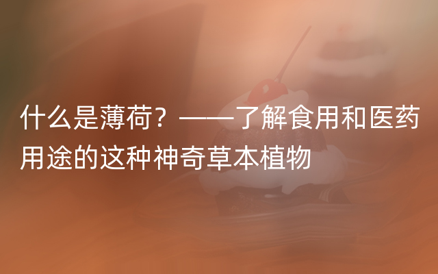 什么是薄荷？——了解食用和医药用途的这种神奇草本植物