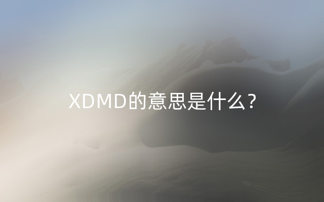 XDMD的意思是什么？