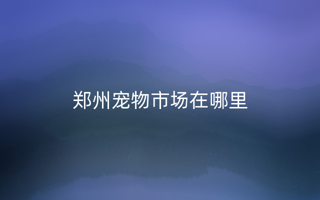 郑州宠物市场在哪里