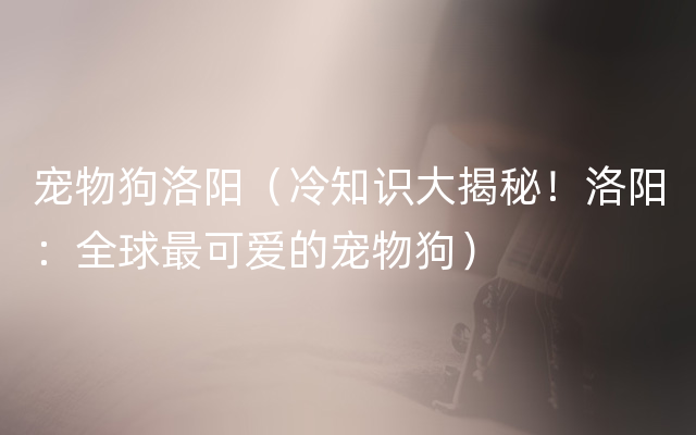 宠物狗洛阳（冷知识大揭秘！洛阳：全球最可爱的宠物狗）