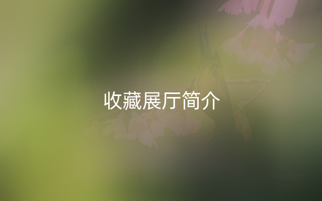 收藏展厅简介