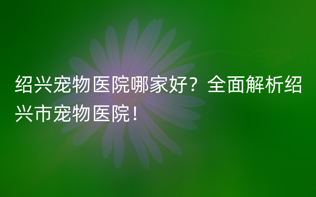 绍兴宠物医院哪家好？全面解析绍兴市宠物医院！