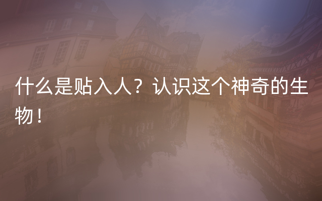 什么是贴入人？认识这个神奇的生物！