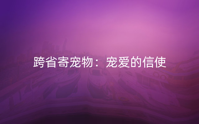 跨省寄宠物：宠爱的信使