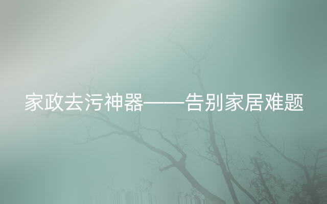 家政去污神器——告别家居难题