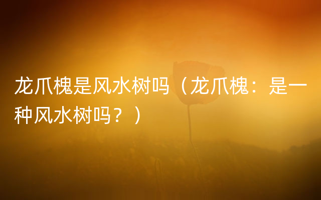 龙爪槐是风水树吗（龙爪槐：是一种风水树吗？）