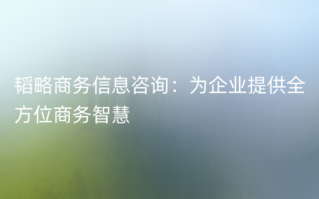 韬略商务信息咨询：为企业提供全方位商务智慧