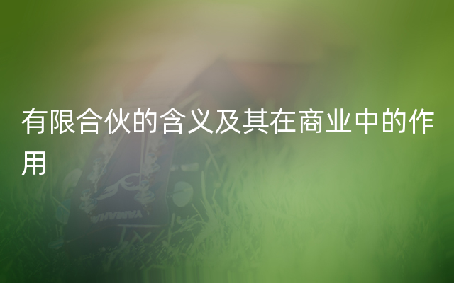 有限合伙的含义及其在商业中的作用