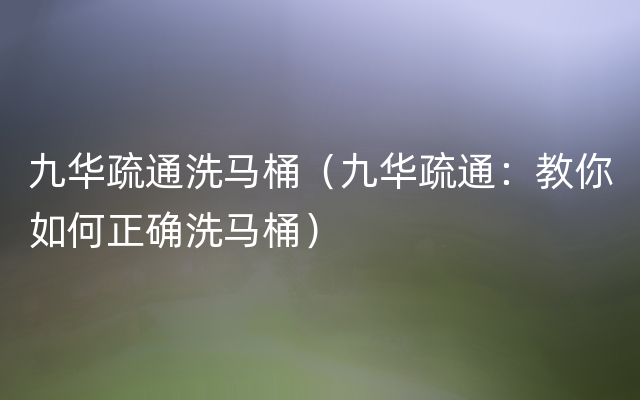九华疏通洗马桶（九华疏通：教你如何正确洗马桶）