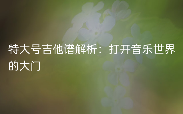 特大号吉他谱解析：打开音乐世界的大门