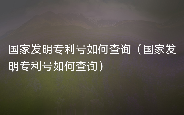 国家发明专利号如何查询（国家发明专利号如何查询）