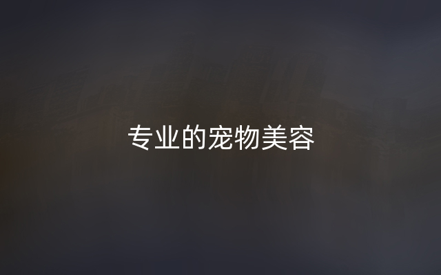 专业的宠物美容