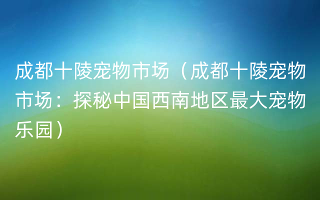 成都十陵宠物市场（成都十陵宠物市场：探秘中国西南地区最大宠物乐园）