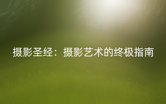 摄影圣经：摄影艺术的终极指南