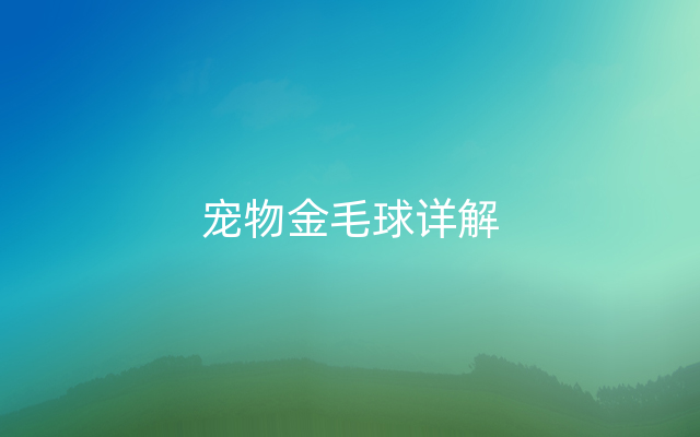 宠物金毛球详解