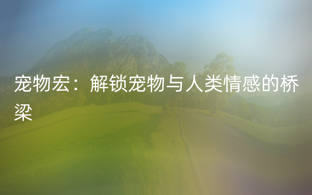 宠物宏：解锁宠物与人类情感的桥梁